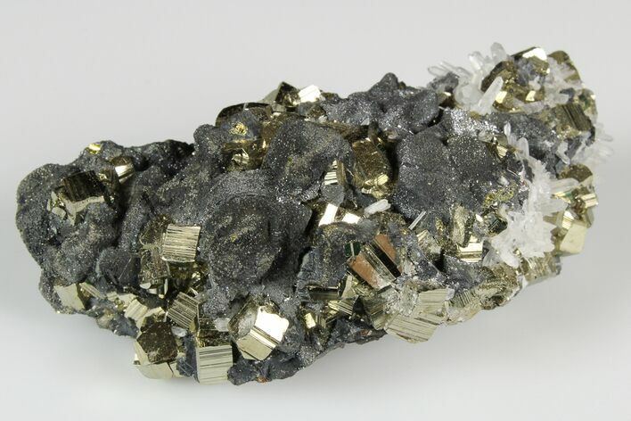 Chalcopyrite, Pyrite and Quartz Association - Peru #187341